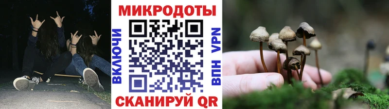 Псилоцибиновые грибы MAGIC MUSHROOMS  Купить где  Волгодонск 