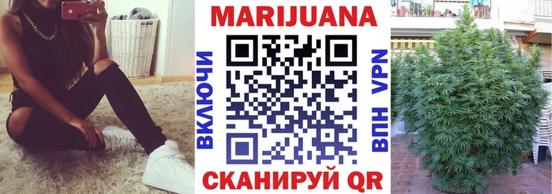 Бошки марихуана сатива  Купить закладки  Волгодонск 